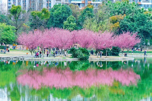 煙火慢城，在水一方