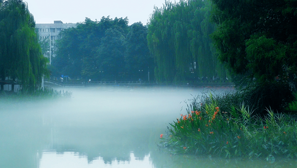 城市公園最深情的告白