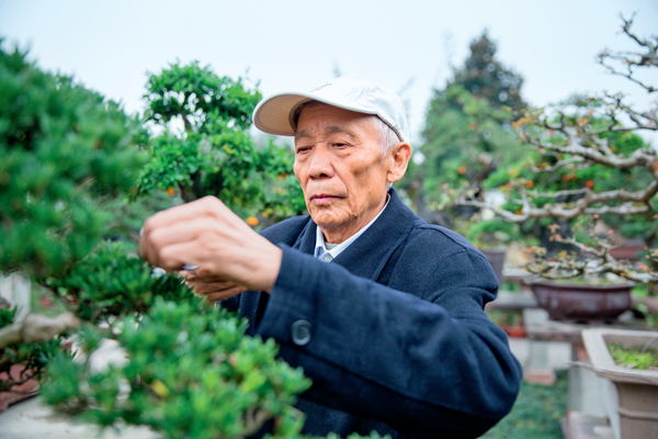 以花為媒 解鎖花YOUNG 溫江樣本