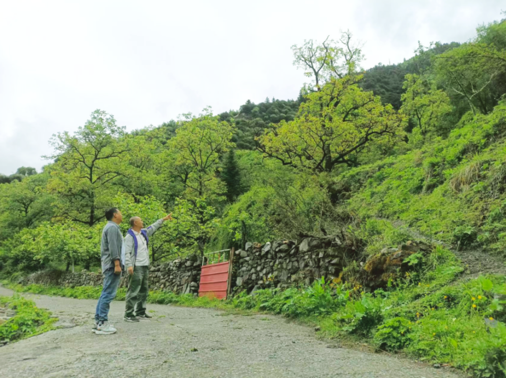 “建行老兵”晉松：往前沖，不能“松”