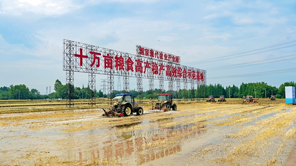 天府糧倉： “智慧田”的智慧密碼