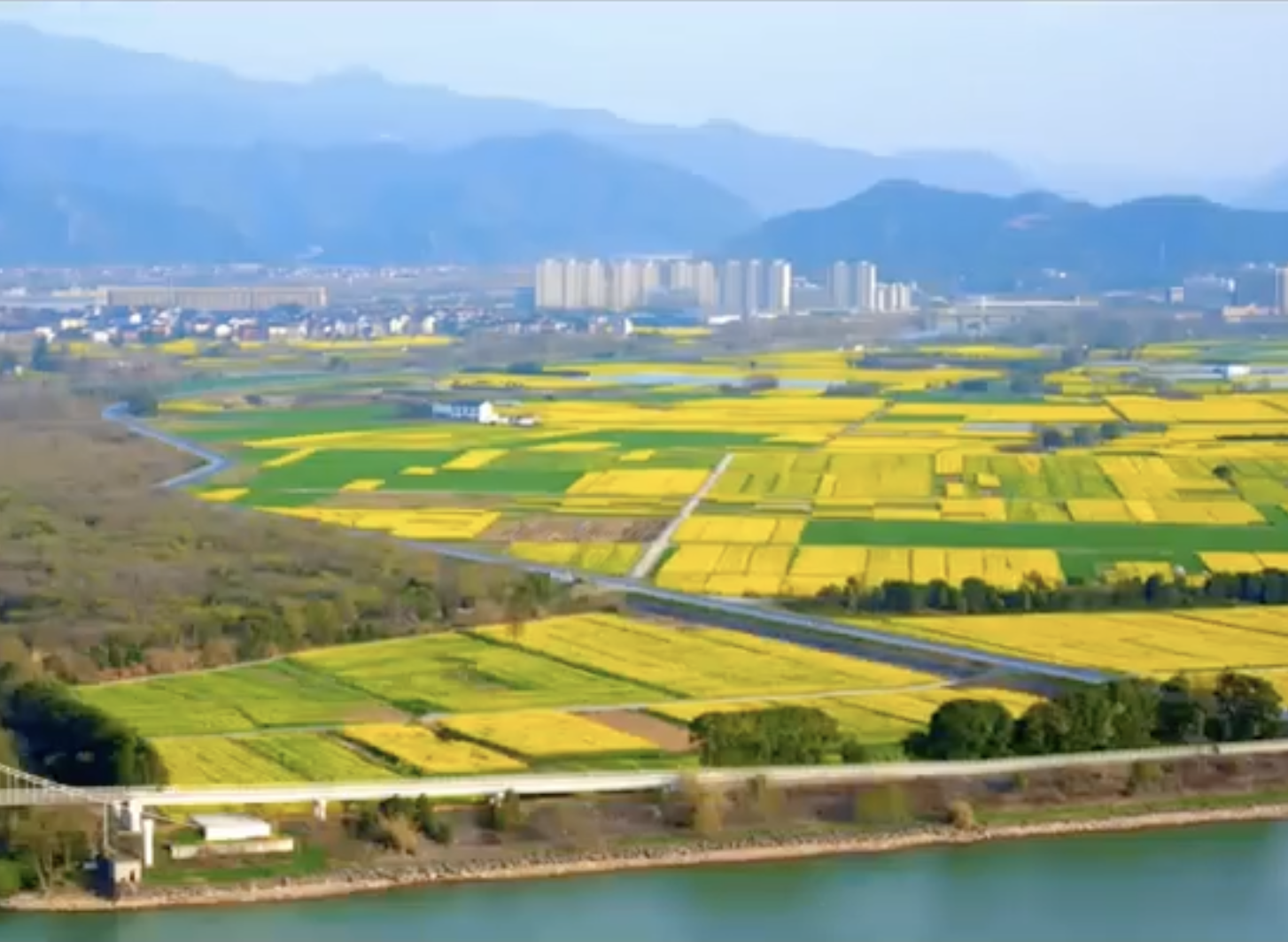 這是我國第一首專門唱油菜花的歌