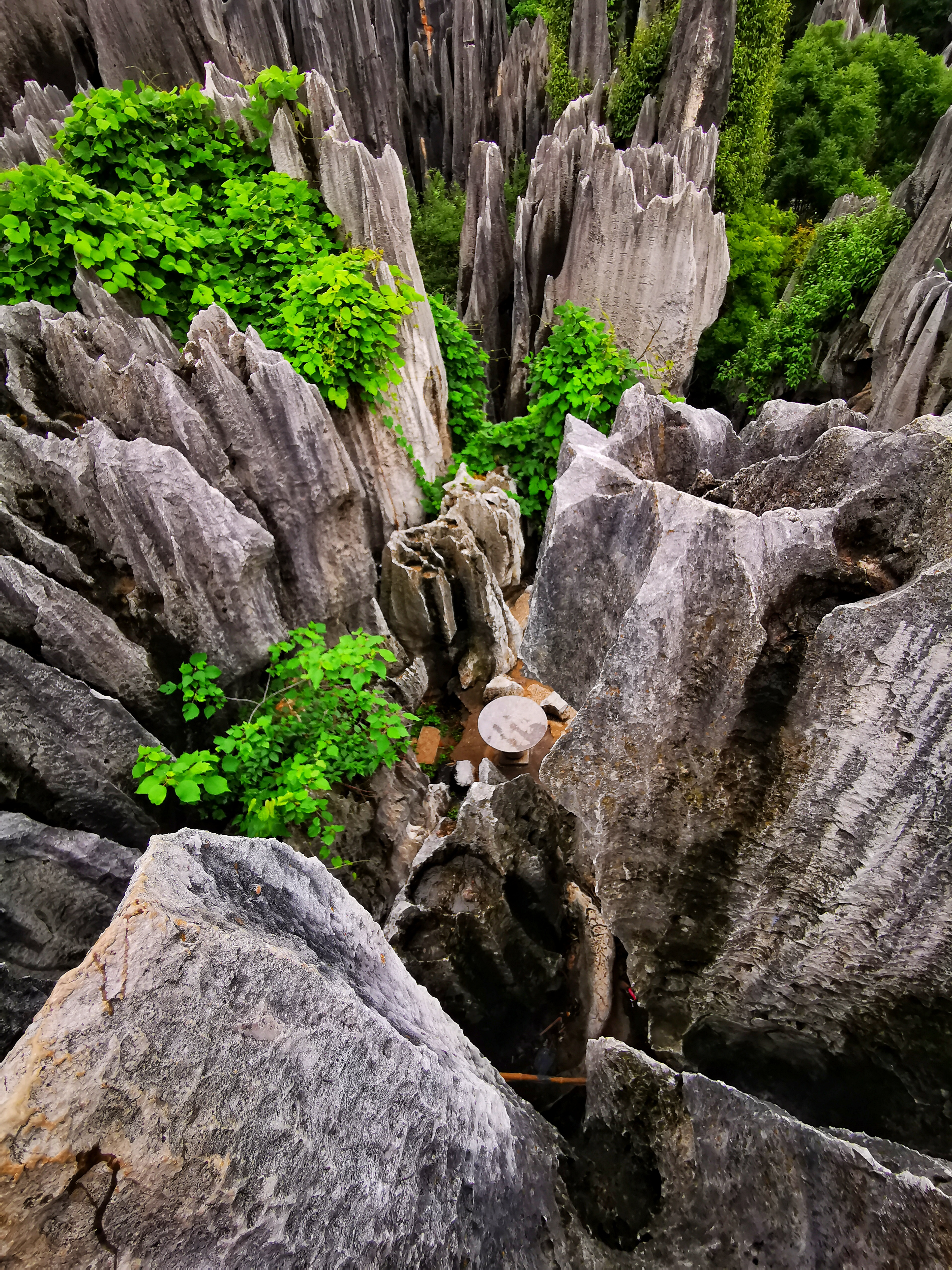 South China Karst