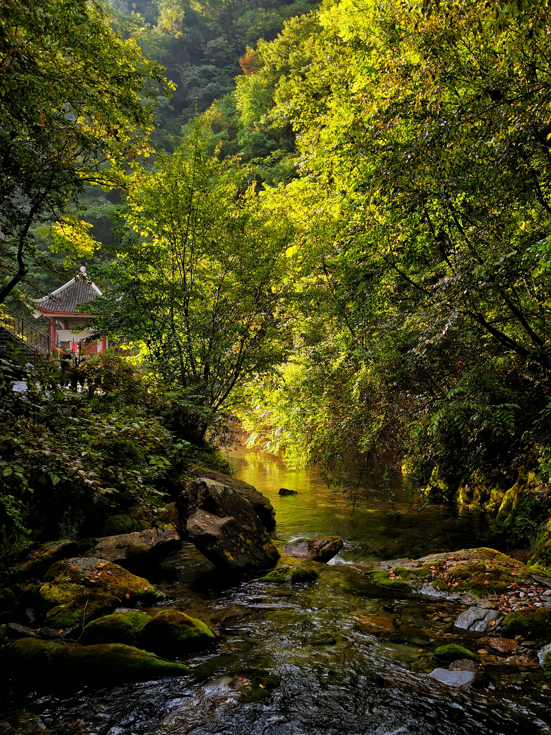 Hubei Shennongjia