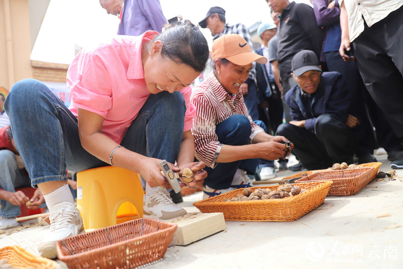 Walnut peeling competition held in SW China