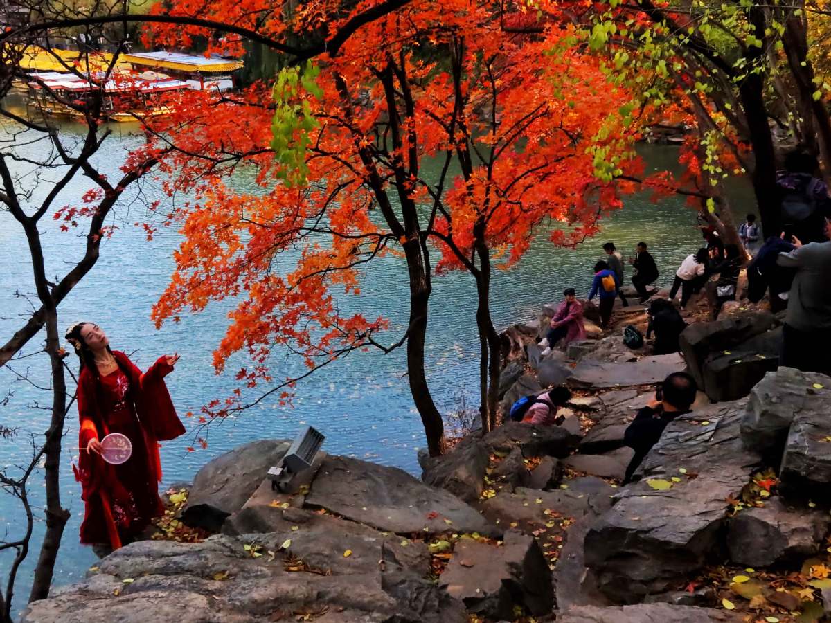 Beijing: Vibrant autumn sceneries enrich the city