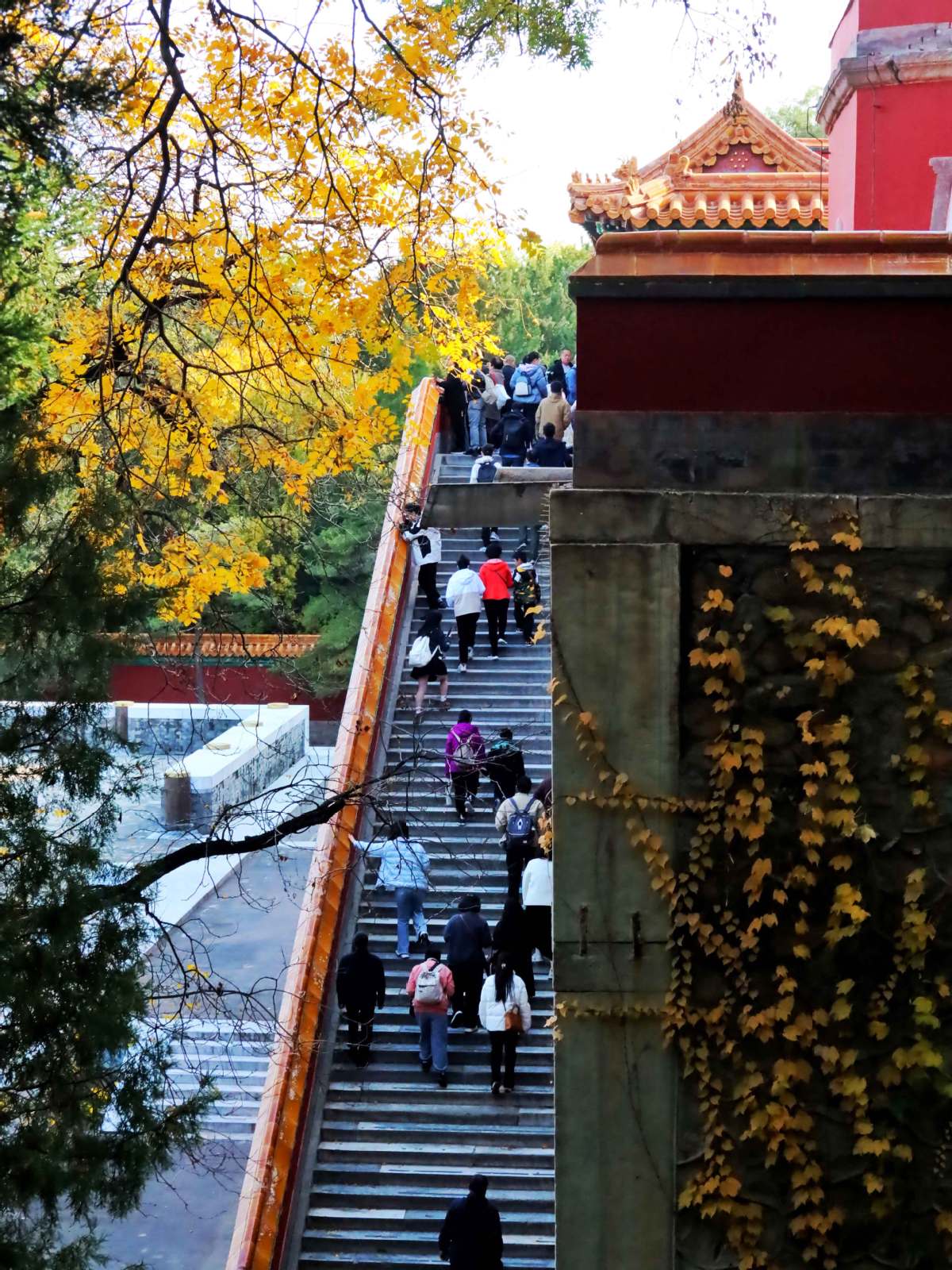 Beijing: Vibrant autumn sceneries enrich the city